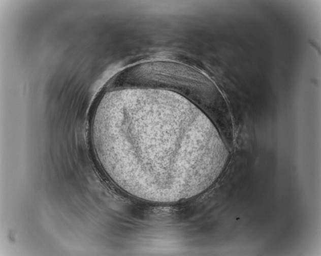 X0000102460152200809051317