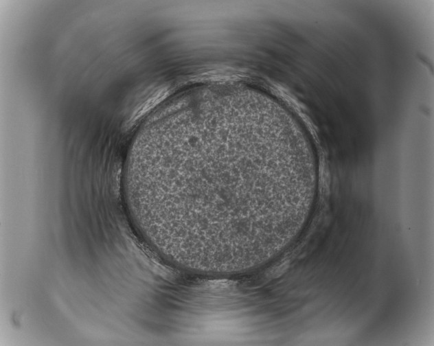 X0000102460153200809051317