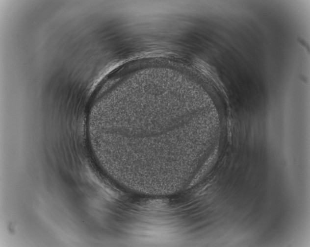 X0000102460156200809051317