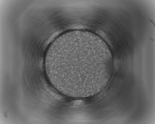 X0000102460159200809051317
