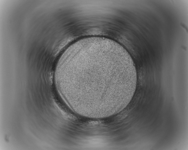 X0000102460160200809051317