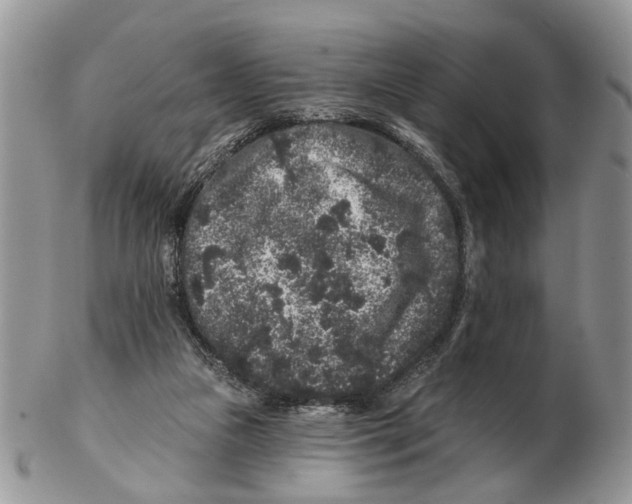 X0000102460161200809051317