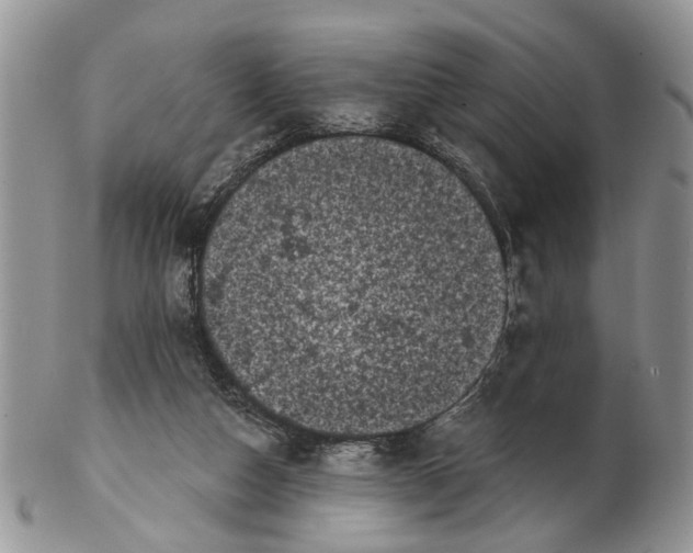 X0000102460162200809051317