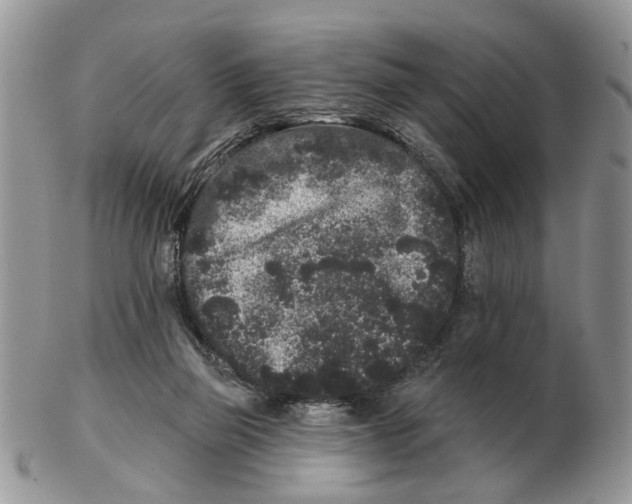 X0000102460165200809051317
