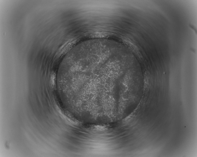 X0000102460166200809051317
