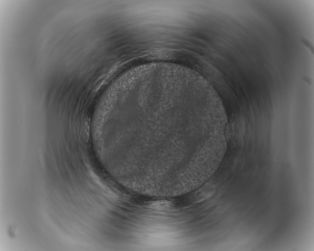 X0000102460168200809051317