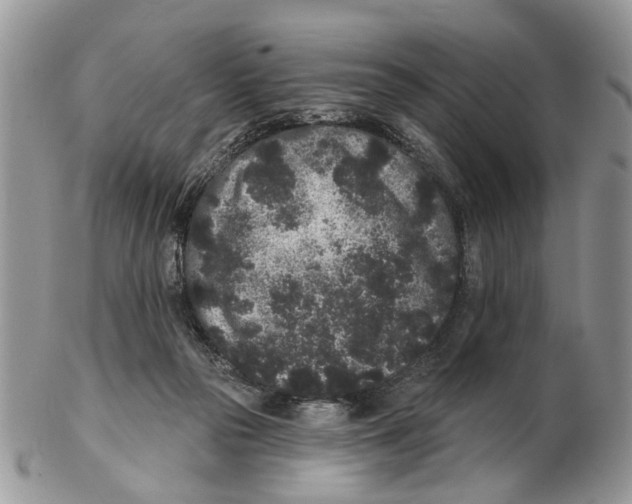 X0000102460169200809051317