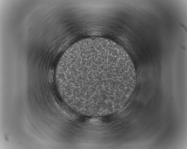 X0000102460171200809051318