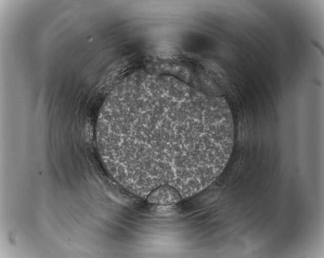 X0000102460173200809051318