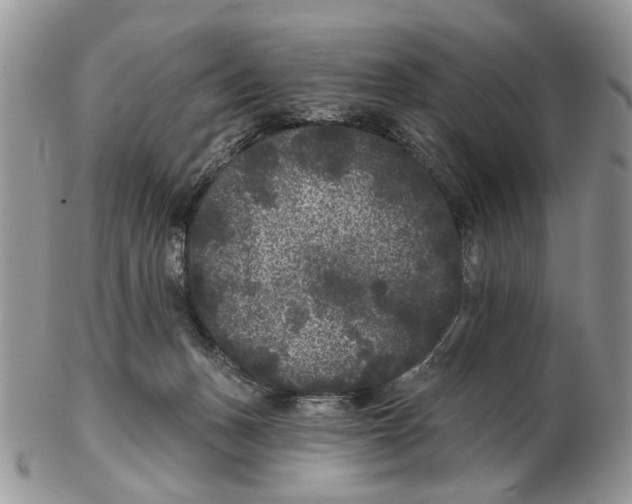 X0000102460175200809051318