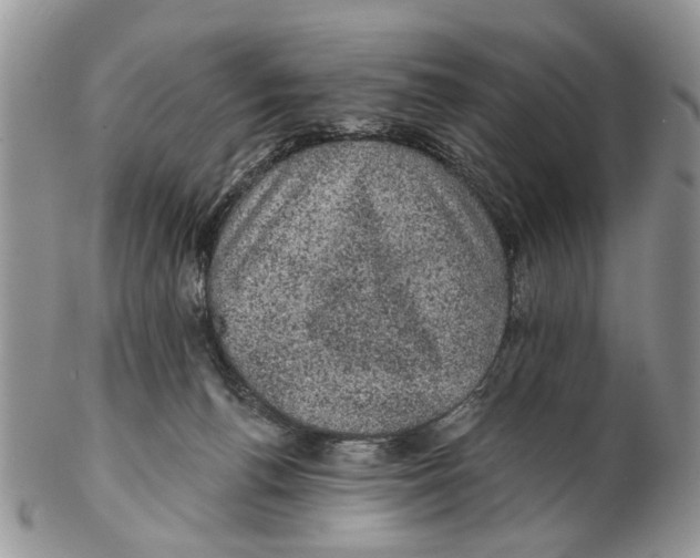 X0000102460176200809051318