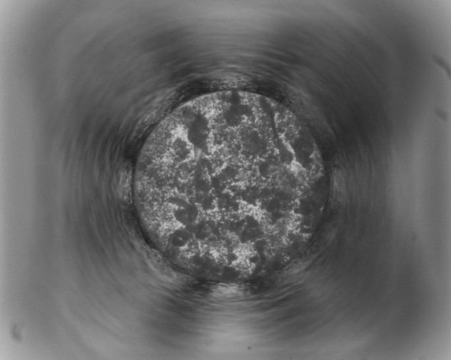 X0000102460177200809051318