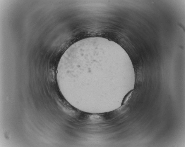 X0000102460183200809051318