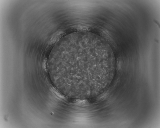 X0000102460185200809051318