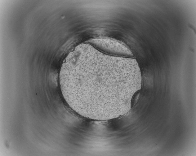 X0000102460188200809051318