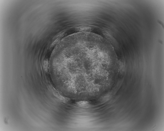 X0000102460189200809051318