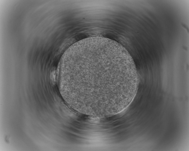 X0000102460190200809051318