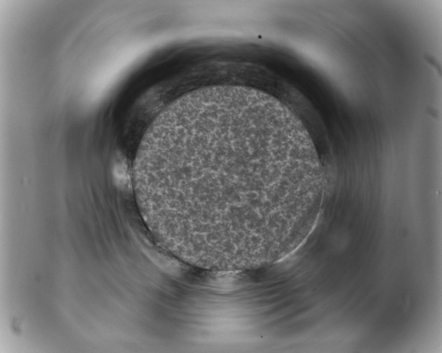 X0000102460191200809051318