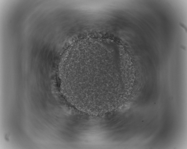 X0000102460192200809051318