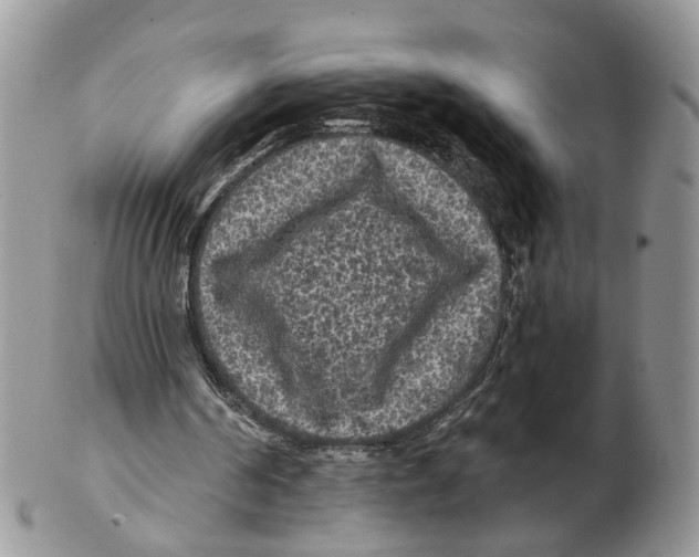 X0000102460194200809051317