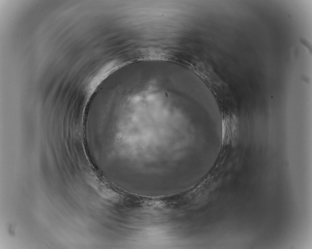 X0000102460195200809051317