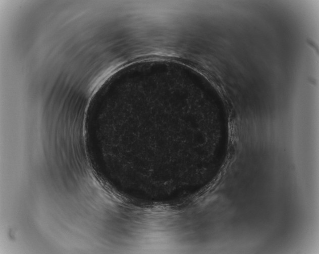X0000102460196200809051317