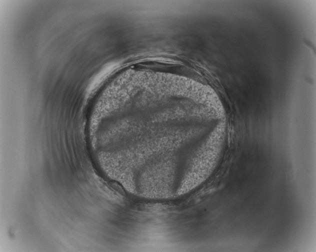 X0000102460197200809051317