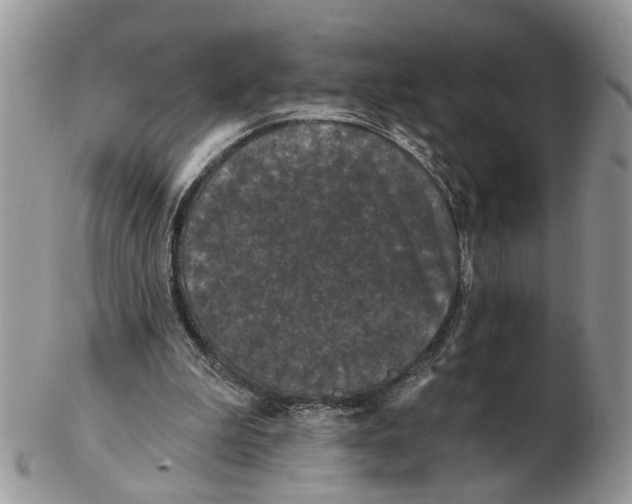 X0000102460199200809051317