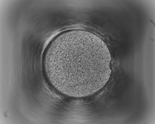 X0000102460200200809051317