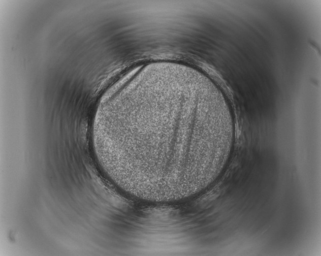 X0000102460201200809051317