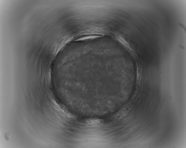 X0000102460202200809051317