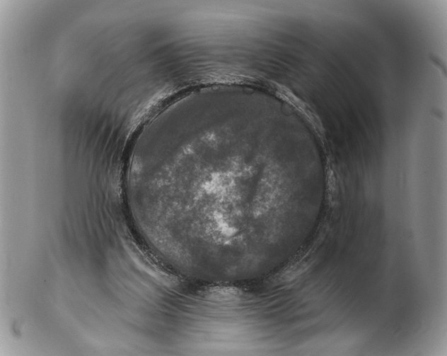 X0000102460203200809051317