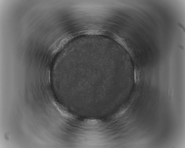 X0000102460205200809051317