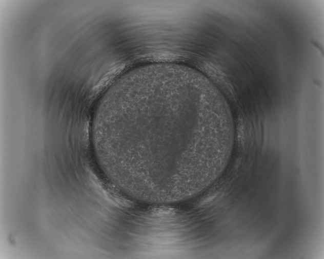 X0000102460206200809051317