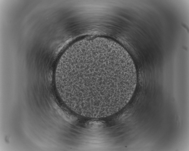 X0000102460208200809051317
