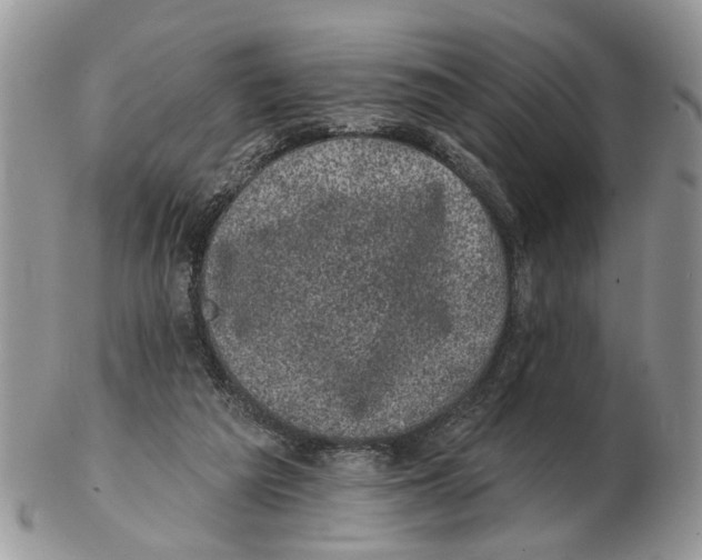 X0000102460209200809051317