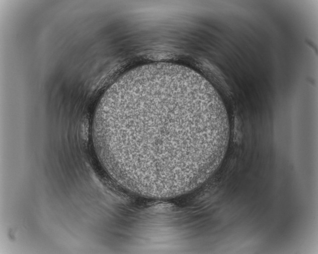 X0000102460210200809051317