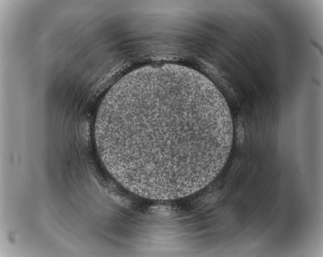 X0000102460211200809051317