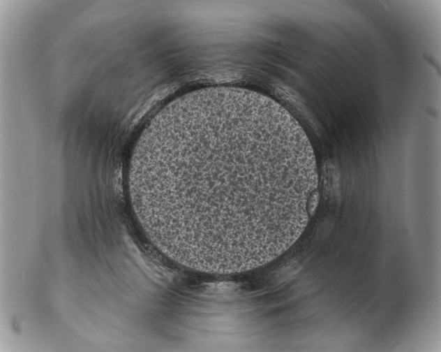 X0000102460212200809051317