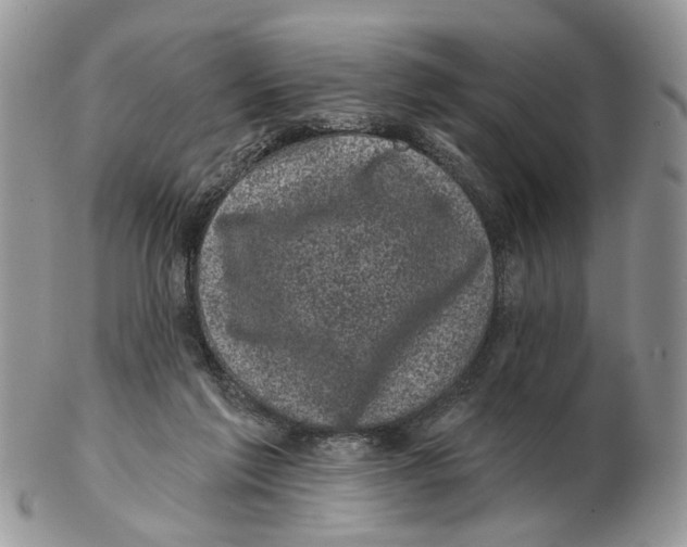 X0000102460213200809051317