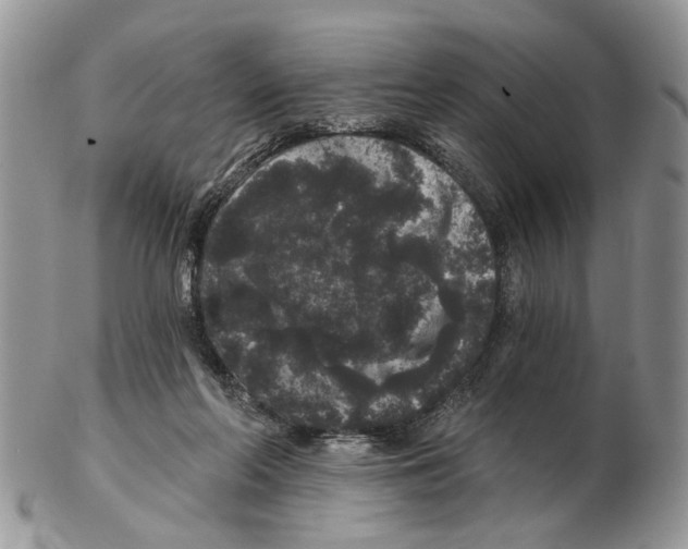 X0000102460214200809051317