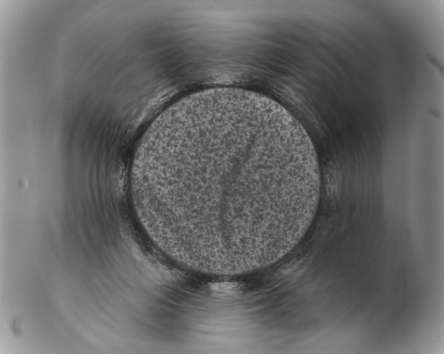 X0000102460216200809051317