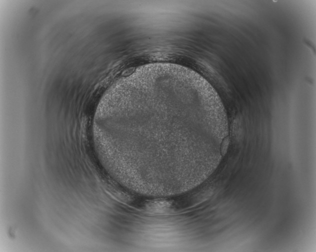X0000102460217200809051317