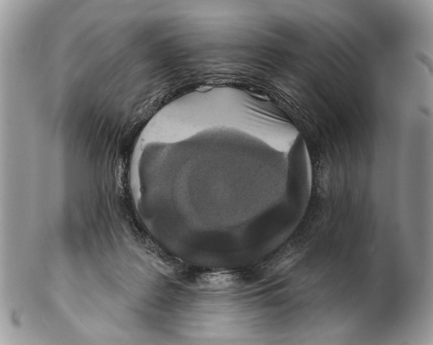 X0000102460219200809051317
