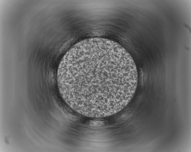X0000102460220200809051317