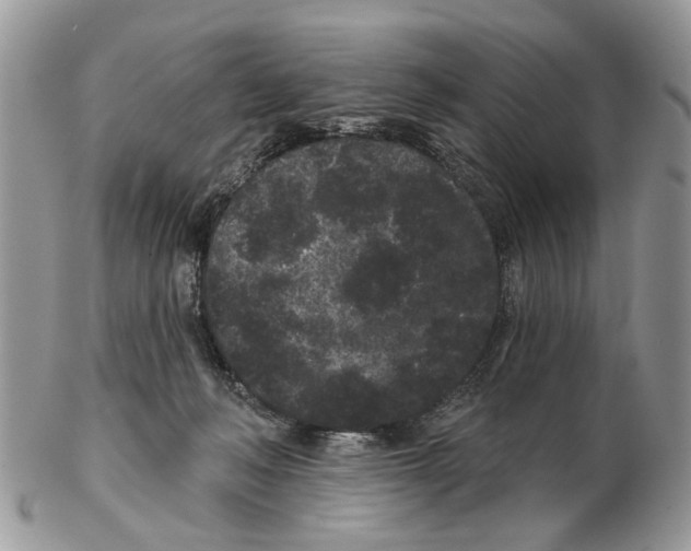 X0000102460222200809051317