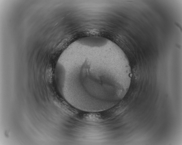 X0000102460223200809051317