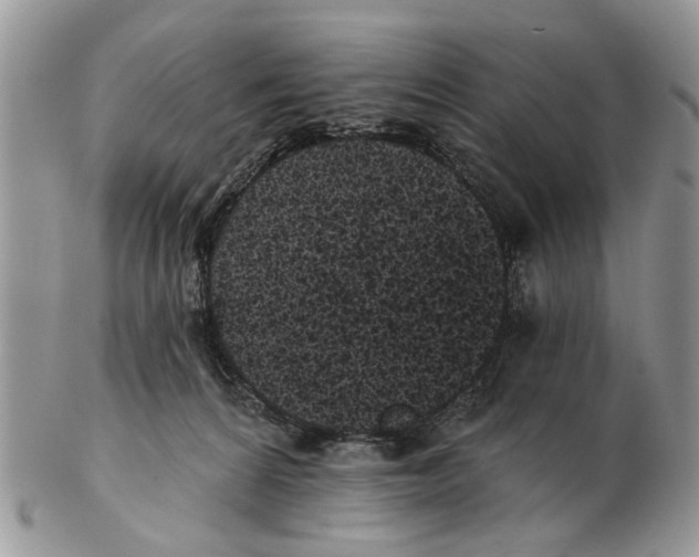 X0000102460224200809051317