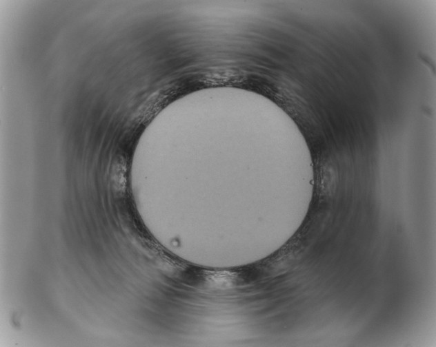 X0000102460226200809051317