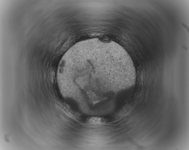 X0000102460227200809051317